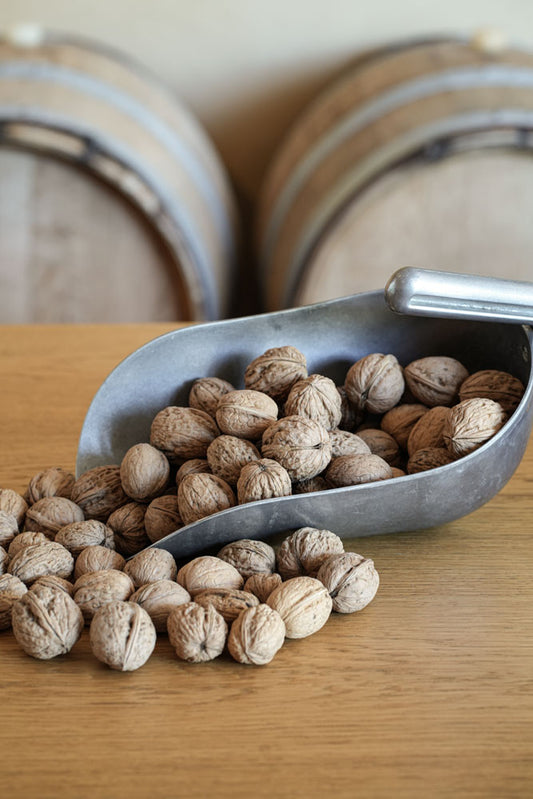 WALNÜSSE Ernte 2025